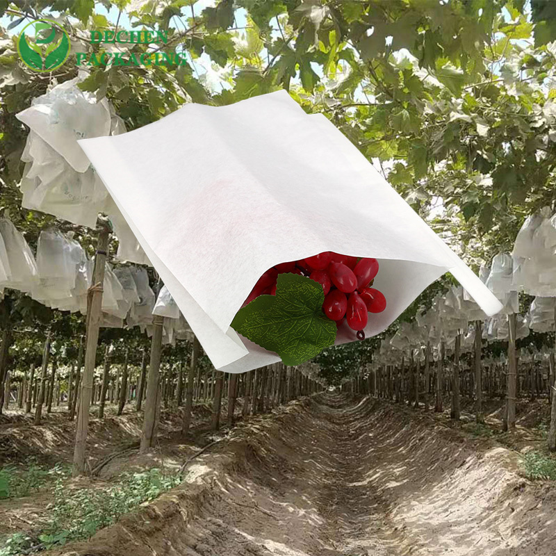 Mango Fruit Bagging Technique Pricelist for Mango Fruit Bagging Technique Products - Detailed & High-Quality